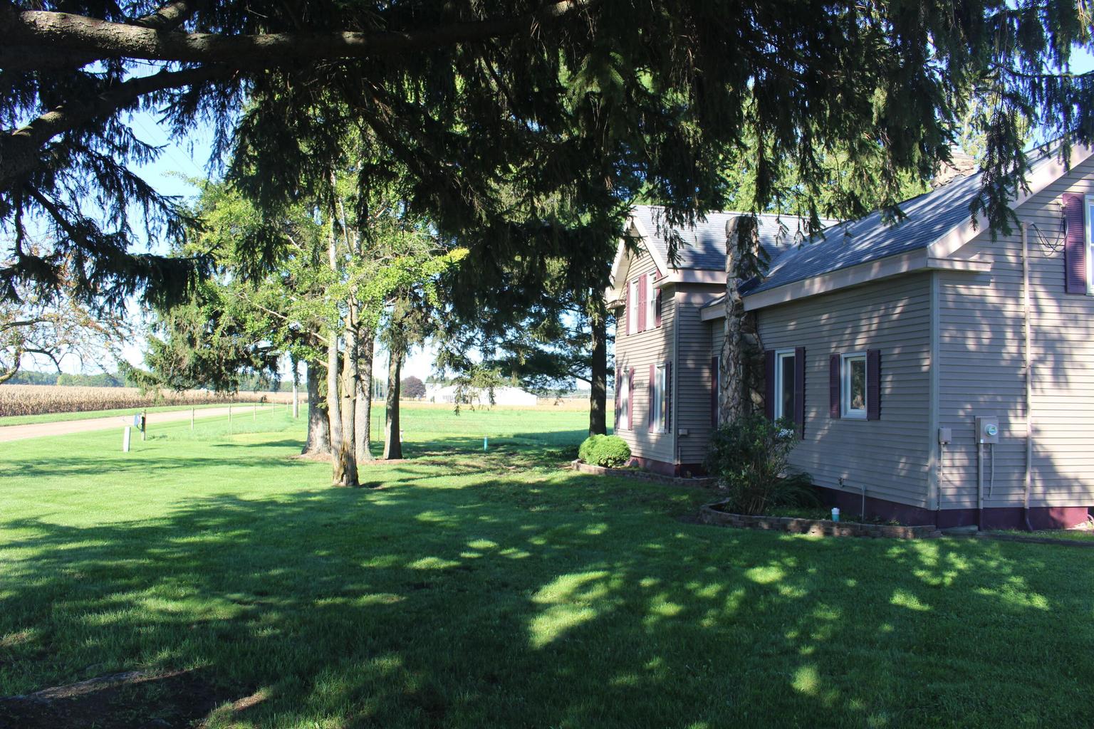 lawn and trees around home