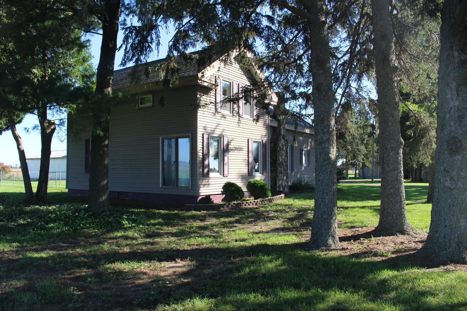view through trees of back of home