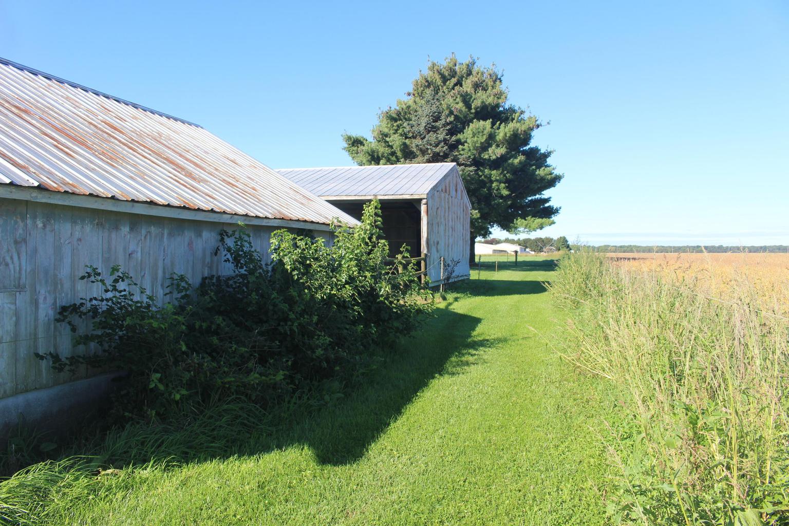 side of yard and outbuildings